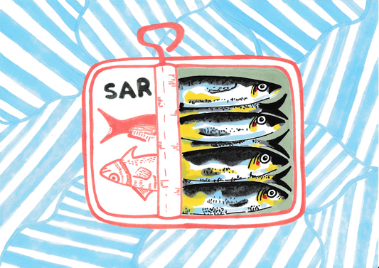 Canned sardines