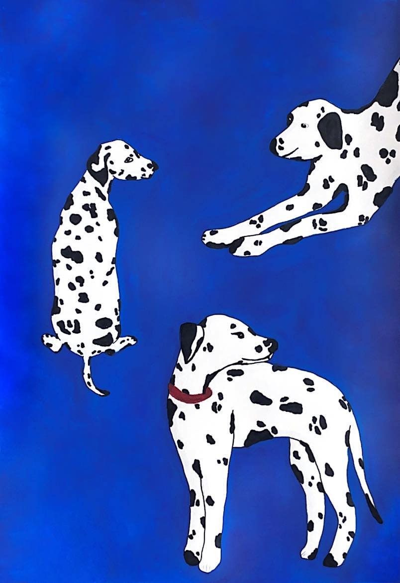 Spotty Companions